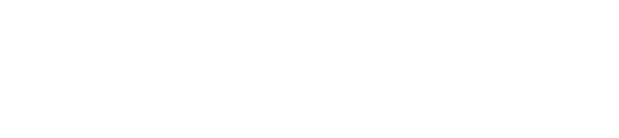 Logo Camicado